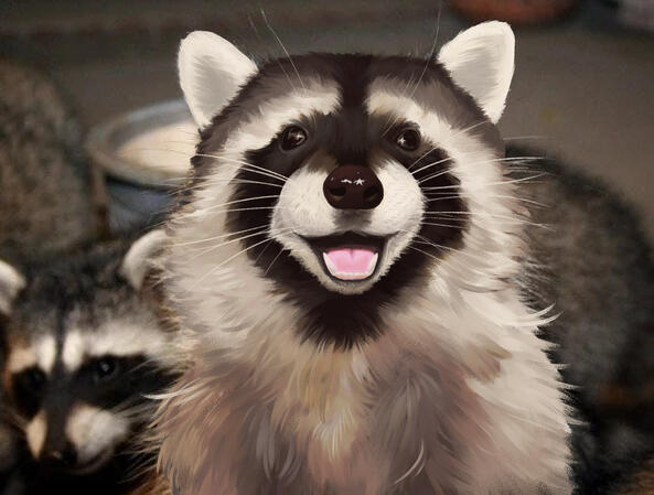 Animal painting study of a raccoon (2024)