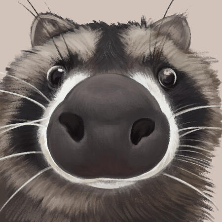 Silly raccoon digital painting study (2024)